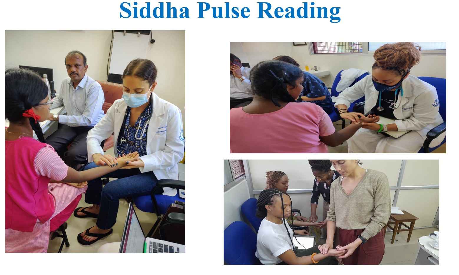 Siddha Pulse Reading